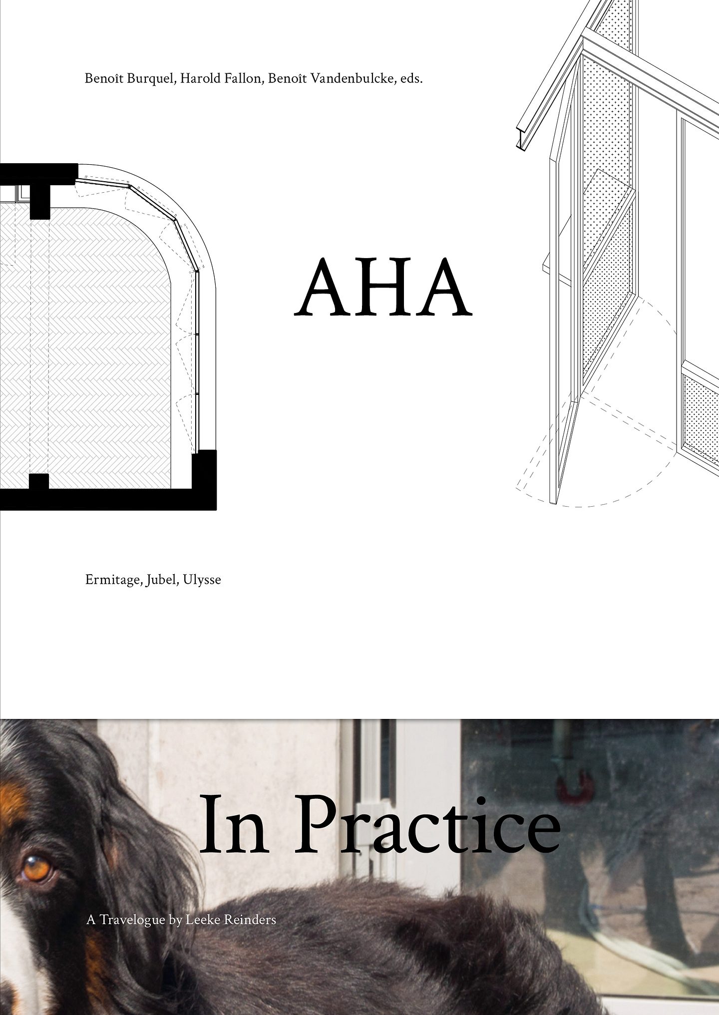 AHA In Practice cover1