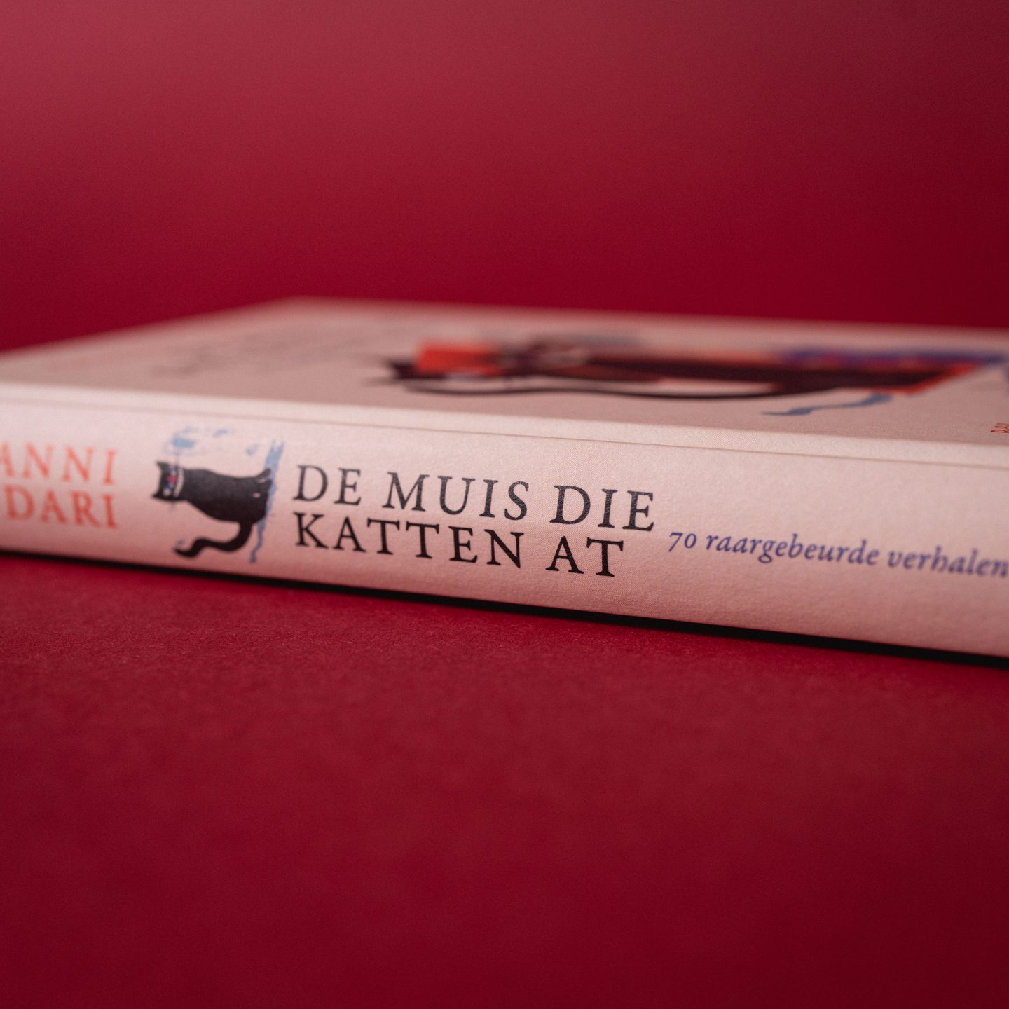 borgerhoff-lamberigts-de-muis-die-katten-at