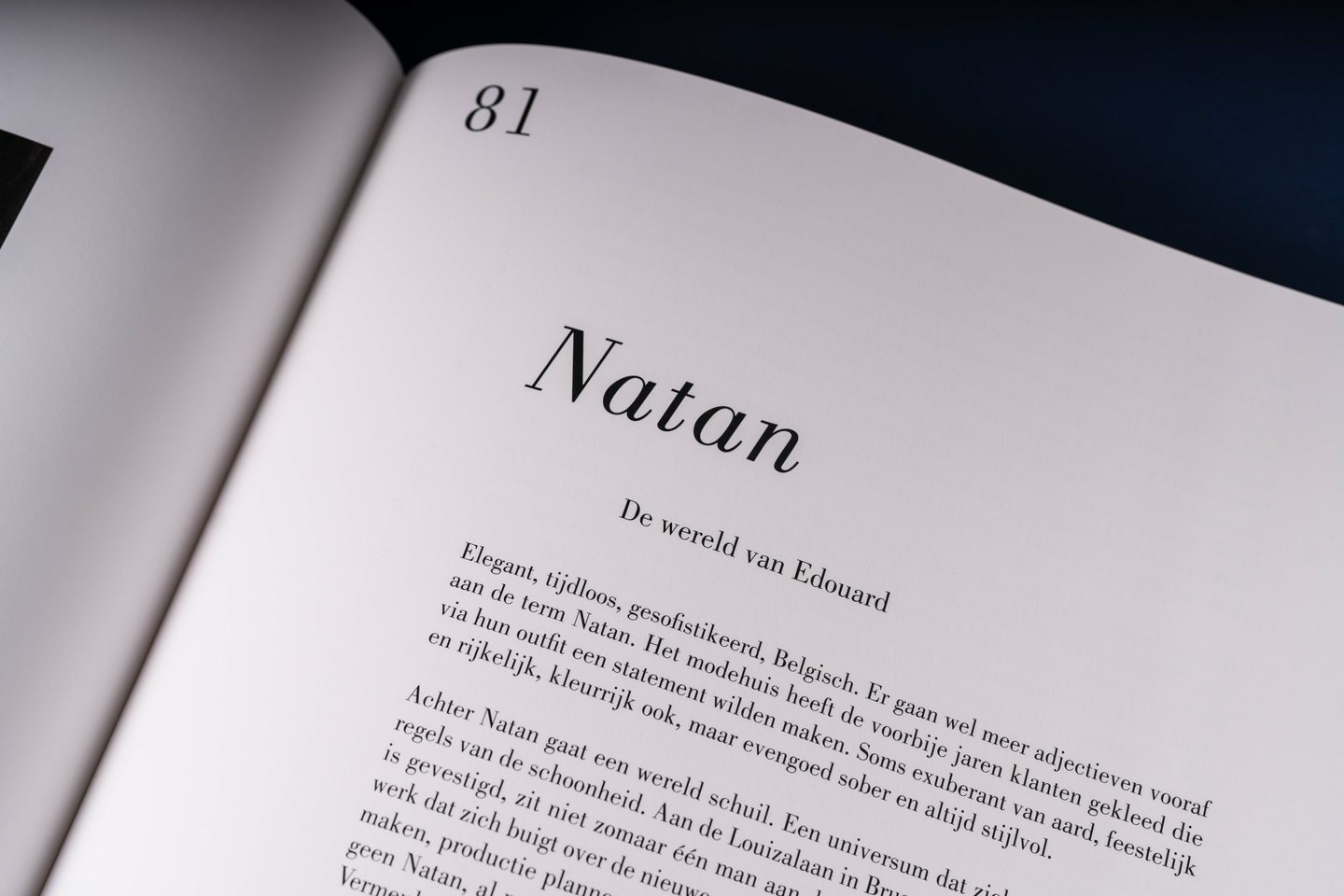 Natan web 6